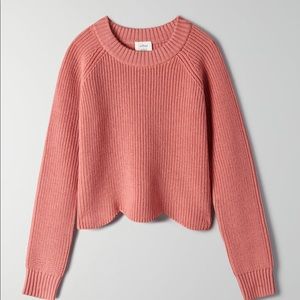 Aritzia Wilfred Sardou Sweater